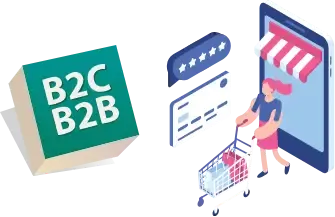 B2B / B2C Framework